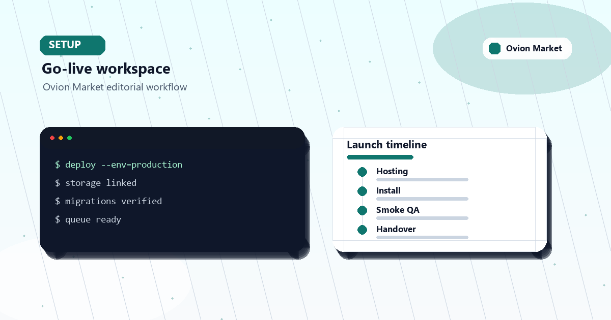Installation service go-live checklist with hosting, domain, payment, and QA steps